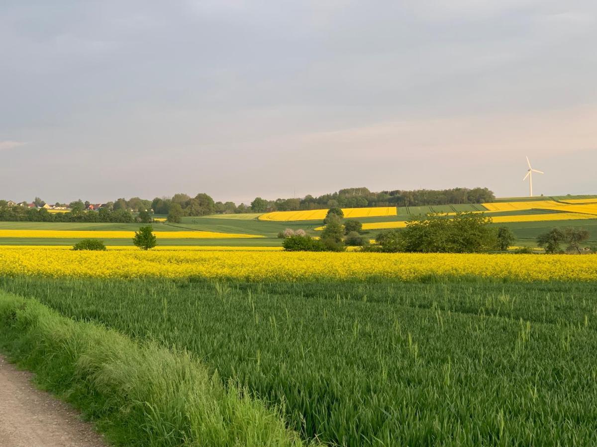 Feldquartier Lägenhet Grebenstein Exteriör bild
